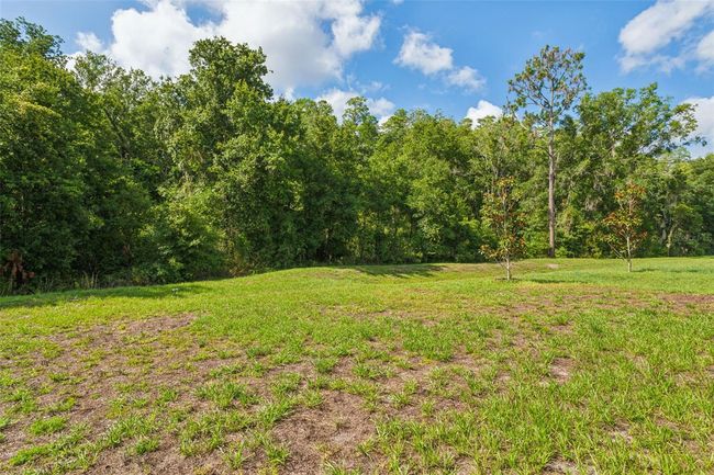 18858 Alfaro Loop, House other with 4 bedrooms, 2 bathrooms and null parking in SPRING HILL FL | Image 30