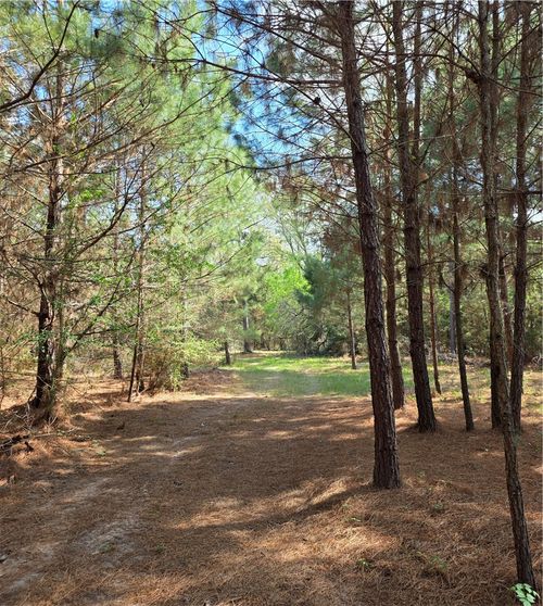 9118 Hazy Hollow Ln, Anderson, TX, 77830 | Card Image