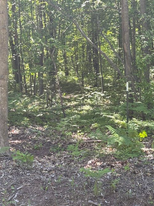 11560 S Lakeside Trail, Isabella Township, MI, 48858 | Card Image