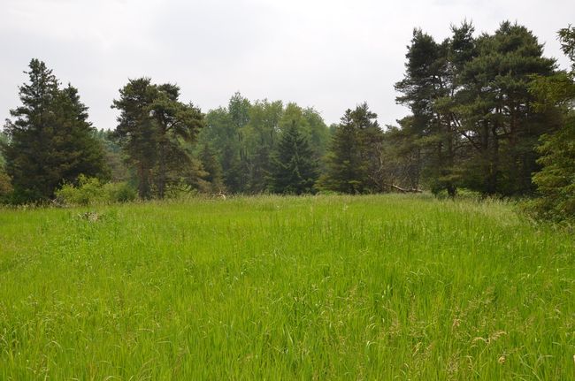 4500 S 42 Nd St, Home with 0 bedrooms, 0 bathrooms and null parking in Climax MI | Image 24
