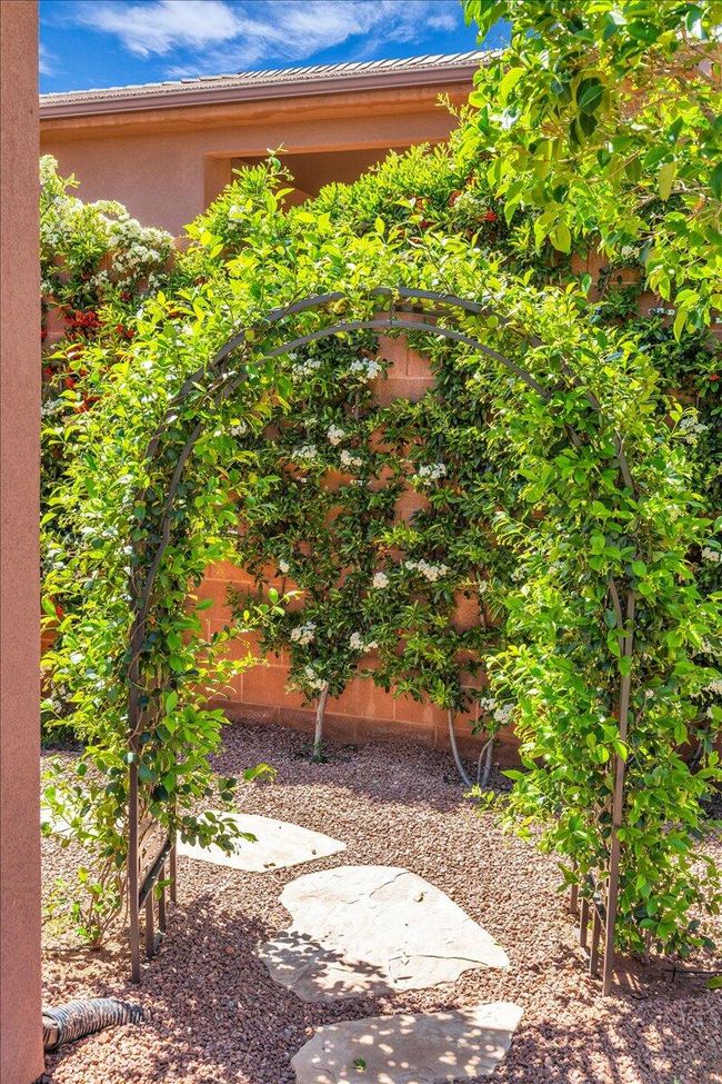 14-With Bushes That Bloom | Image 14