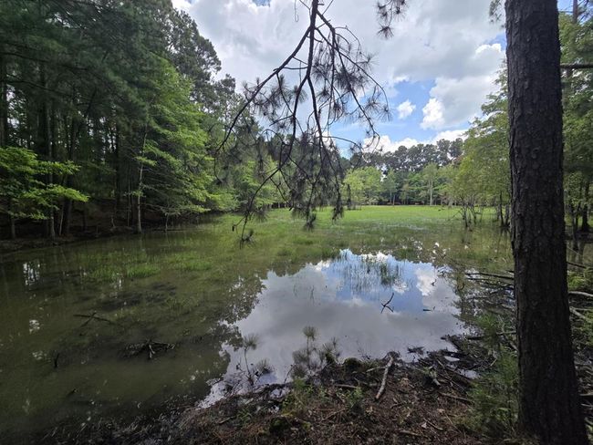 3599 Mauk Rd, House other with 3 bedrooms, 3 bathrooms and 2 parking in Mauk GA | Image 34