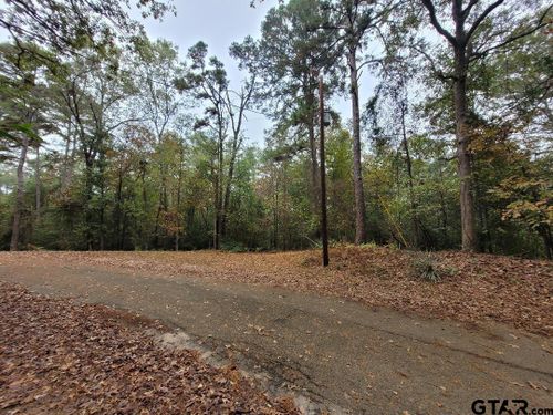 Lots 284-286 Peachtree Ln, Holly Lake Ranch, TX, 75765 | Card Image