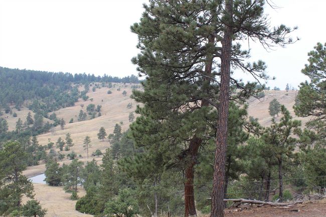 371 New Haven Rd, Home with 0 bedrooms, 0 bathrooms and null parking in Hulett WY | Image 27