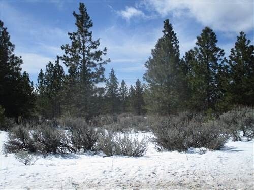 6 xx Chipmunk Trail, Waterville, WA, 98858 | Card Image