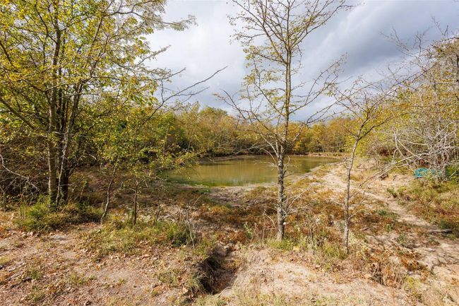 Pond located at south end of the​​‌​​​​‌​​‌‌​‌‌​​​‌‌​​‌‌​‌​​​​​‌ property! | Image 7