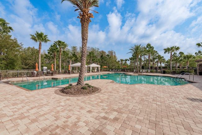 11551 Callisia Dr, House other with 2 bedrooms, 2 bathrooms and null parking in Odessa FL | Image 52