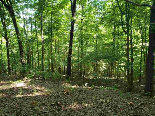 L-11, B-5 Nickajack Trace, Cherokee Village, AR, 72529 | Card Image