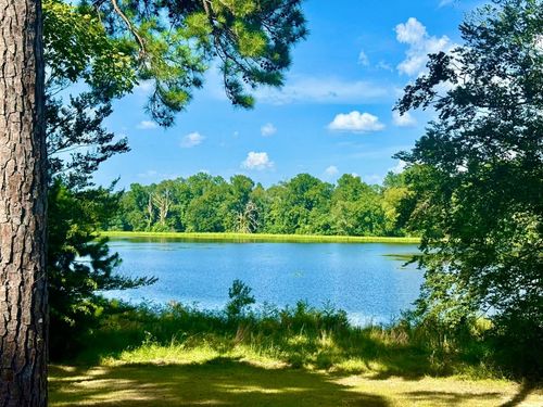 TBD Lakeland Ranch Lot 392, 393, Hillister, TX, 77624-9999 | Card Image