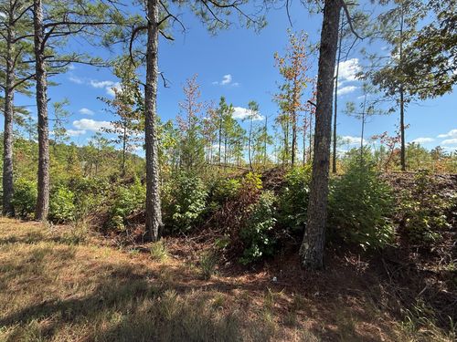 3 Leapwood Enville Rd, Adamsville, TN, 38310 | Card Image