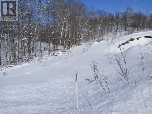 406 Crozier Rd, Westport, ON, K0G1X0 | Card Image