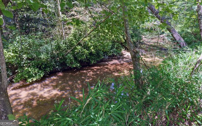46 Cedar Ridge Dr, House other with 3 bedrooms, 3 bathrooms and null parking in Toccoa GA | Image 47