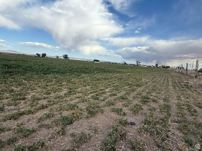 View of yard with a view of countryside | Image 9