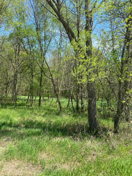 16 4th Ave E, South Haven, MN, 55382 | Card Image