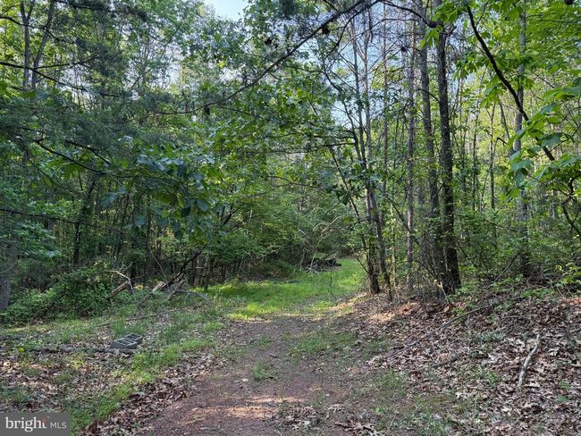 1337 Shanghai Rd, Home with 0 bedrooms, 0 bathrooms and null parking in BERKELEY SPRINGS WV | Image 10