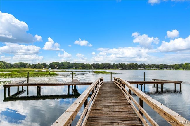 716 Balmoral Ct, House other with 3 bedrooms, 2 bathrooms and 2 parking in INVERNESS FL | Image 47