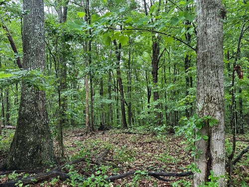 11 Mountain Top Dr, Palmer, TN, 37365-2500 | Card Image