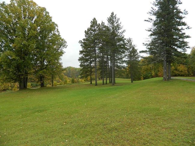 Phenomenal Yard.jpg | Image 31