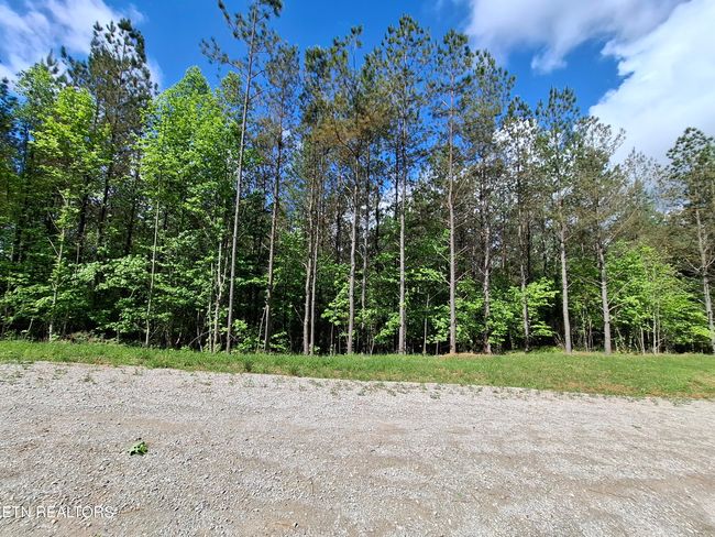 38 Stonecipher Ct, Home with 0 bedrooms, 0 bathrooms and null parking in Sunbright TN | Image 7