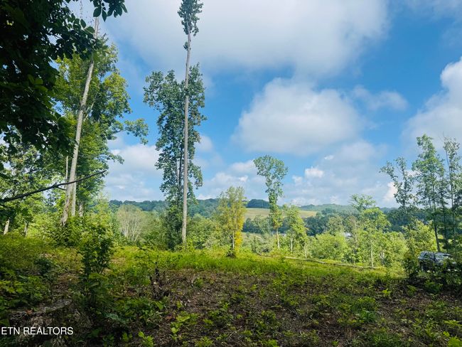 1 Mill Creek Rd, Home with 0 bedrooms, 0 bathrooms and null parking in Andersonville TN | Image 6