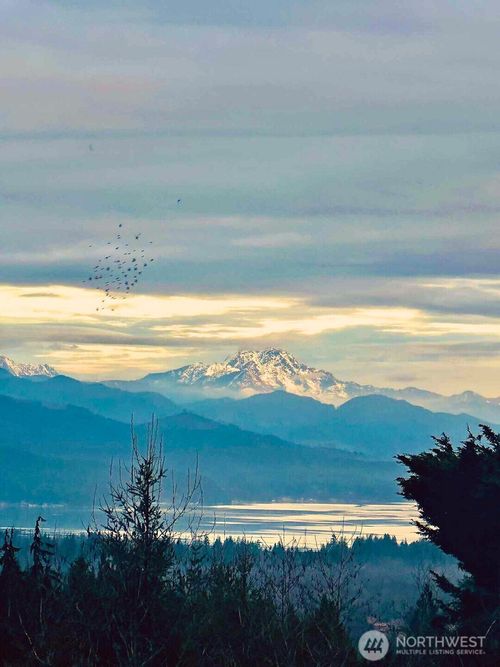 521 E Enchantment Dr, Union, WA, 98592-9699 | Card Image