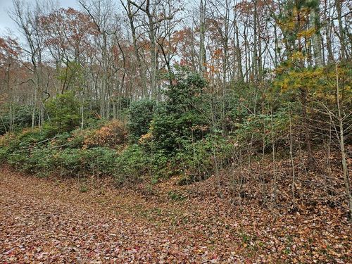 Lot 17 Fox Hollow Dr, Bastian, VA, 24314 | Card Image