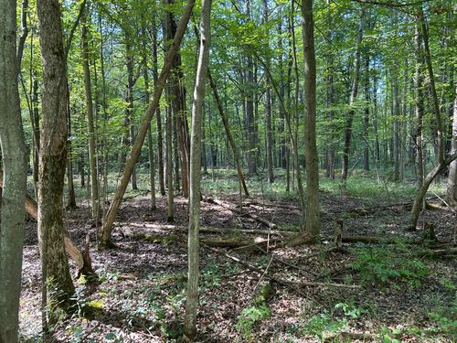 3100 W Isabella Rd, Shepherd, MI, 48883-9644 | Card Image