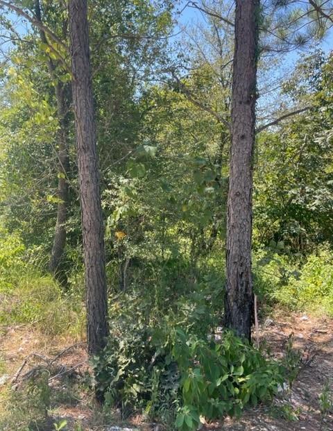 Land in Broken Bow 4