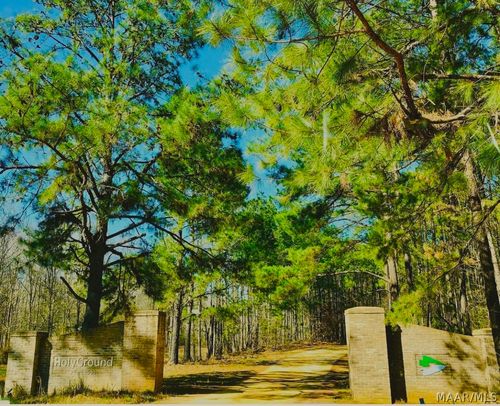 Lot 30A Red Eagle Dr, Lowndesboro, AL, 36752-4651 | Card Image