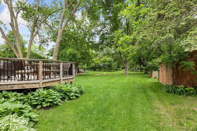 Back Yard | Image 43