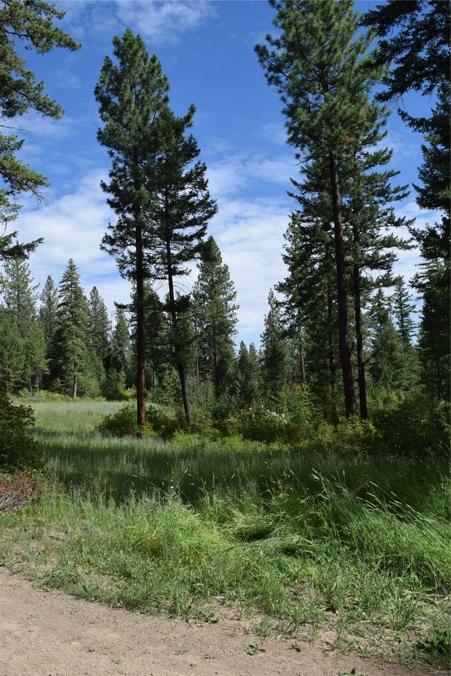 73487 Arlee Pines Dr, Home with 0 bedrooms, 0 bathrooms and null parking in Arlee MT | Image 10