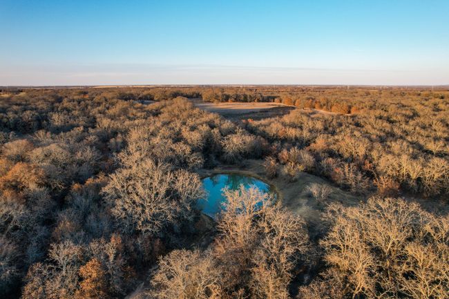 2351 County Road 321, Home with 0 bedrooms, 0 bathrooms and null parking in Gorman TX | Image 14