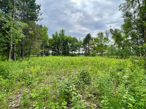 TBD Pacer Dr, Browerville, MN, 56438 | Card Image