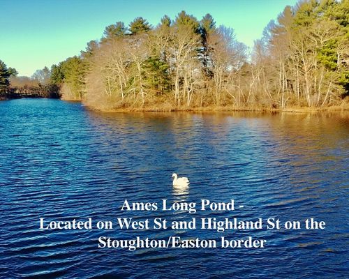 93 Palisades Cir, Stoughton, MA, 02072-3817 | Card Image