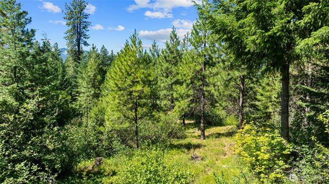 3690 Swiftwater Dr, Home with 0 bedrooms, 0 bathrooms and null parking in Cle Elum WA | Image 4
