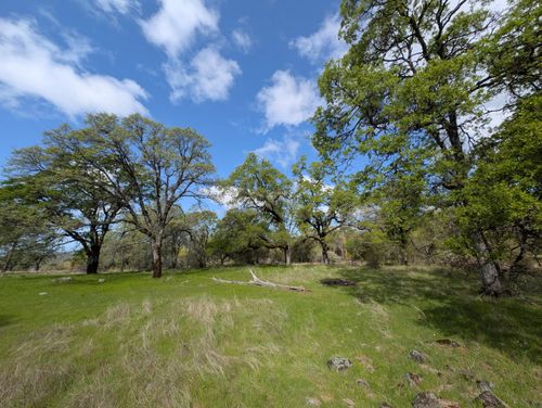14677 Begonia Way, Oregon House, CA, 95962-9707 | Card Image