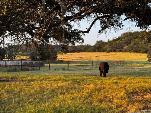 11889 Home Place Rd, Mason, TX, 76856-5703 | Card Image