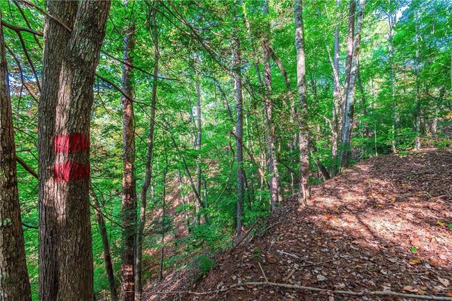 50 Jakes Landing Way S, Home with 0 bedrooms, 0 bathrooms and null parking in Ellijay GA | Image 31