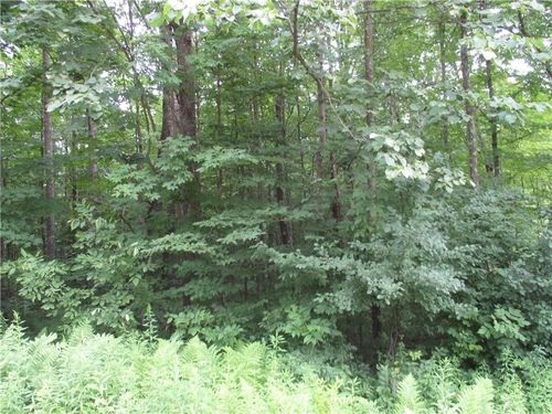 LOT #100 Woods Avenue, Cedar Lake, WI, 54817 | Card Image