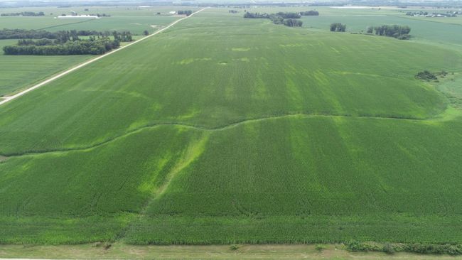 DJI_0808.JPG | Image 10