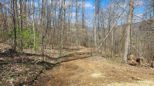 TRACT-2-PIKE-LAKE-GETAWA - 0 Pike Lake Rd, Home with 0 bedrooms, 0 bathrooms and null parking in Bainbridge OH | Image 43