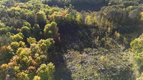 On S Newman Lake Road, Fifield, WI, 54552 | Card Image