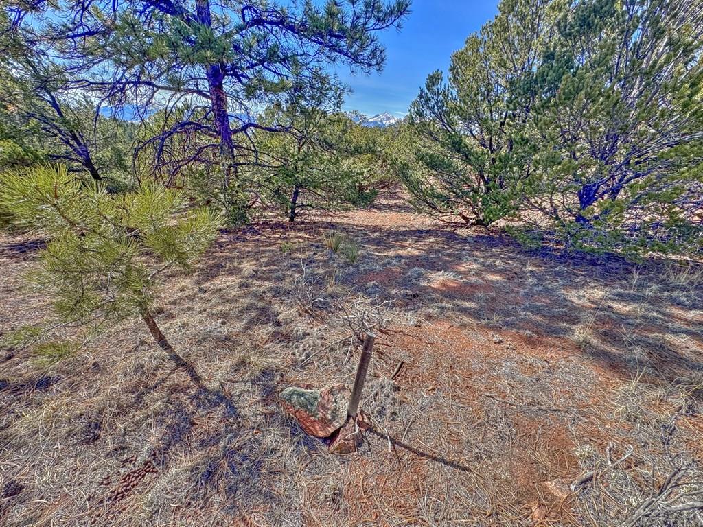 Land in Westcliffe 4