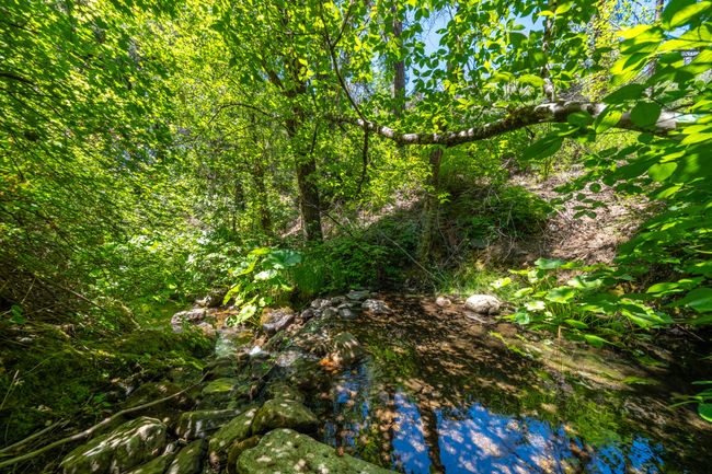 0000 E Fork Rd, Home with 0 bedrooms, 0 bathrooms and null parking in French Gulch CA | Image 43