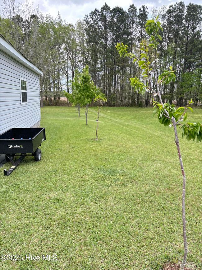Fruit trees | Image 40