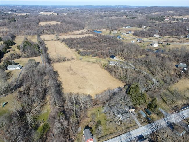 Roam your OWN LAND! So many cleared paths and trails on this property- hike, hunt or play! Whatever YOU choose!! | Image 39