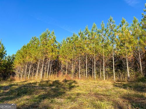 49.2 ACRES Jordan Rd, Waverly hall, GA, 31831 | Card Image