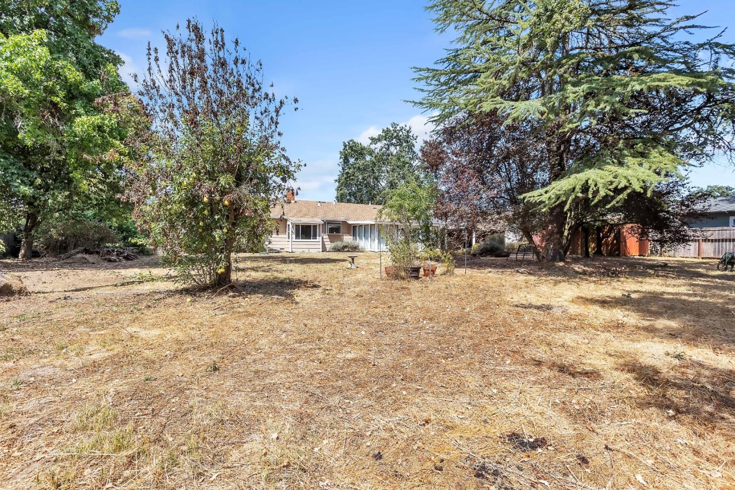Residential in Sebastopol 5