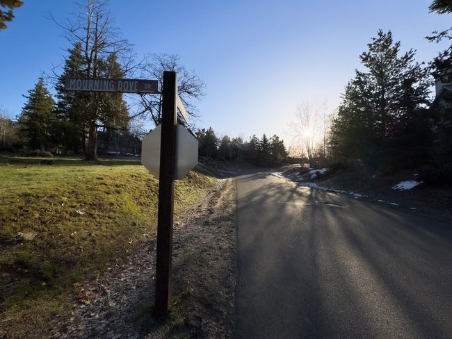 520 Mourning Dove Dr-08 | Image 12