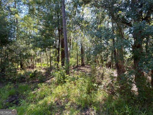 0 Mallard Pond Road, Midway, GA, 31320 | Card Image